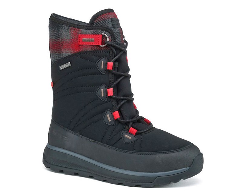 Ice WONDER HI - Main